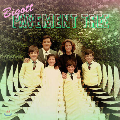 Bigott — Pavement Tree 앨범 커버
