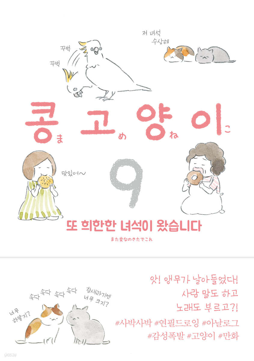 콩고양이 9