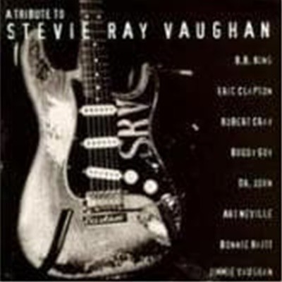 V.A. (Tribute) / A Tribute To Stevie Ray Vaughan