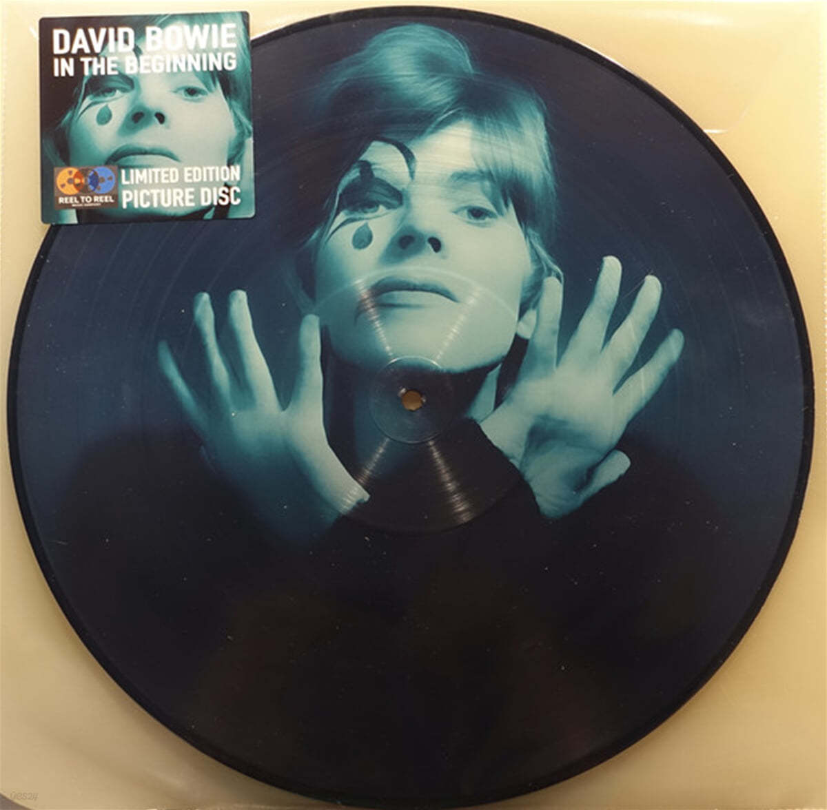 David Bowie (데이비드 보위) - In The Beginning [픽쳐디스크 LP] 