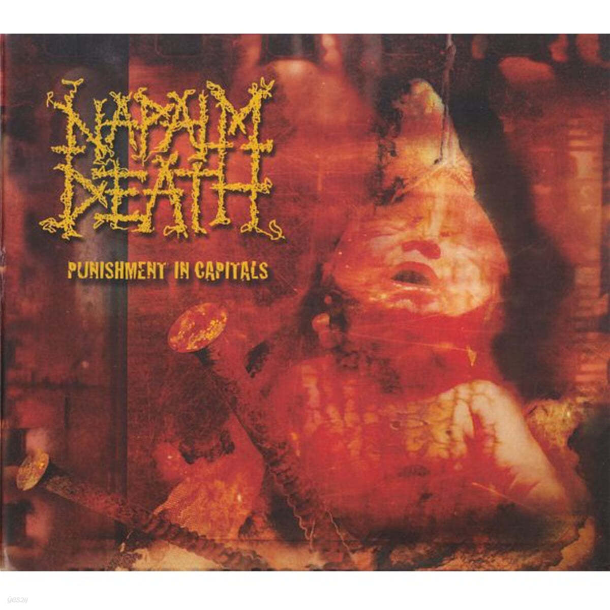 Napalm Death (네이팜 데스) - Punishment In Capitals 