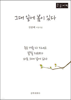 그대앞에 봄이 있다 (큰글자책)