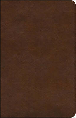 ESV Concise Study Bible(tm) (Trutone, Brown)