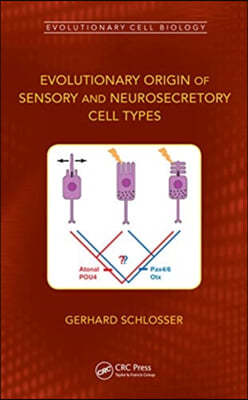 Evolutionary Origin of Sensory and Neurosecretory Cell Types