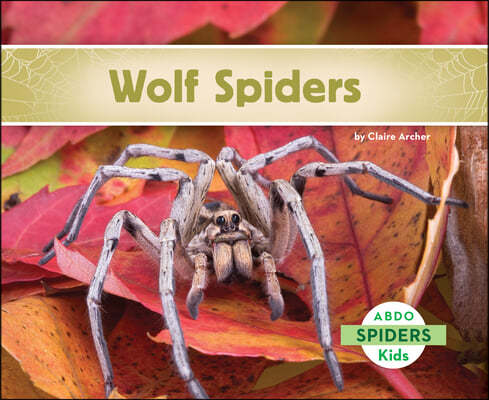 Wolf Spiders