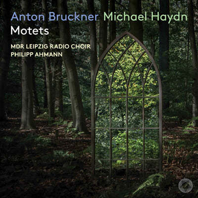 Philipp Ahmann 브루크너 / 미하엘 하이든: 모테트 작품집 (Anton Bruckner / Michael Haydn: Motets) 