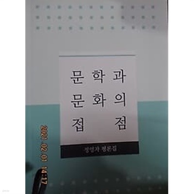 문학과 문화의 접점 /(정영자 평론집)