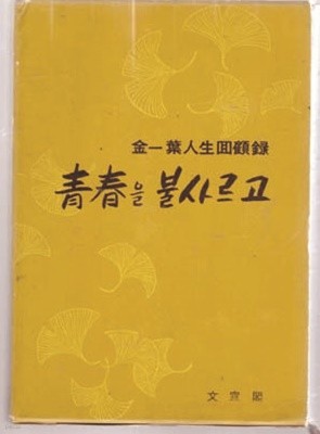 청춘을 불사르고(김일엽 인생회고록