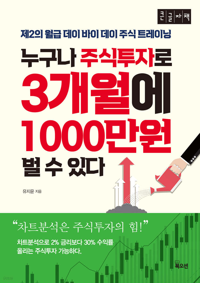 누구나 주식투자로 3개월에 1000만원 벌 수 있다 (큰글자책)