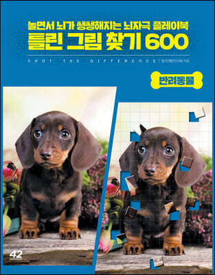틀린 그림 찾기 600 : 반려동물