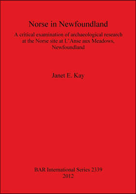 Norse in Newfoundland: A Critical Examination of Archaeological Research at the Norse Site at l'Anse Aux Meadows, Newfoundland