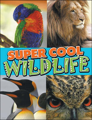 Super Cool Wildlife