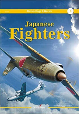 Japanese Fighters