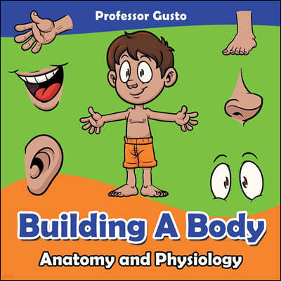 Building a Body Anatomy and Physiology