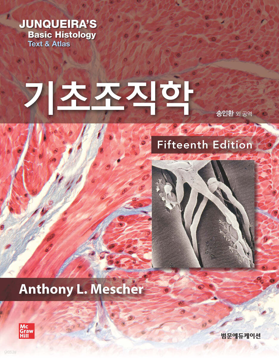 기초조직학