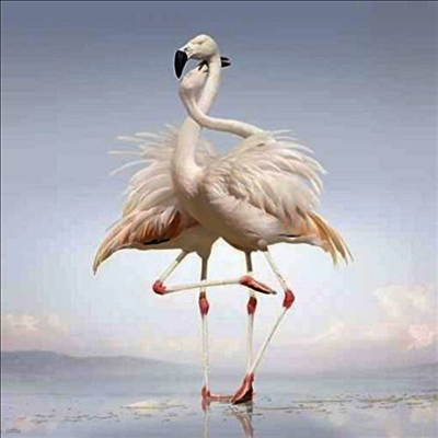 Rustie — Green Language (Gatefold) 앨범 커버