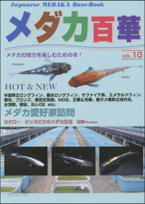 メダカ百華  10
