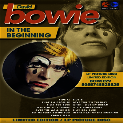 David Bowie — In The Beginning (Picture Disc) 앨범 커버
