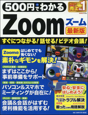 500Ǫ磌Zoom 