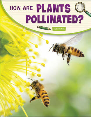 How Are Plants Pollinated?