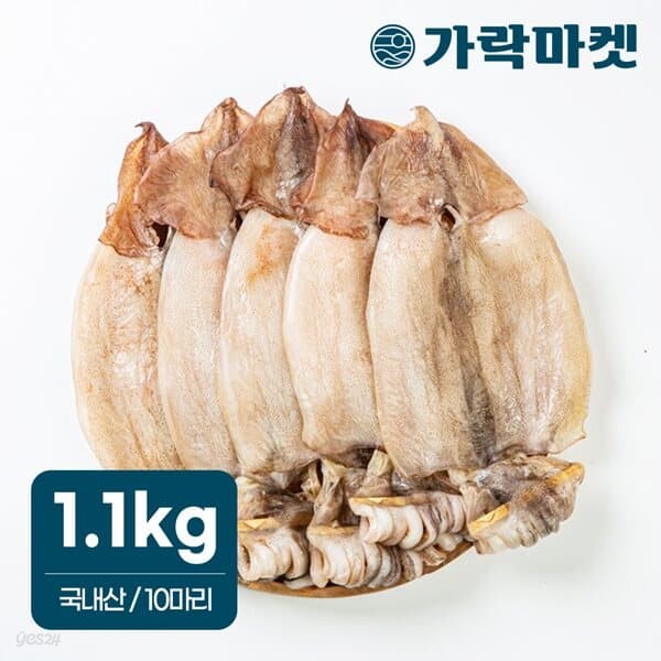 [청정바다]국내산 반건조 오징어 1.1kg 피데기