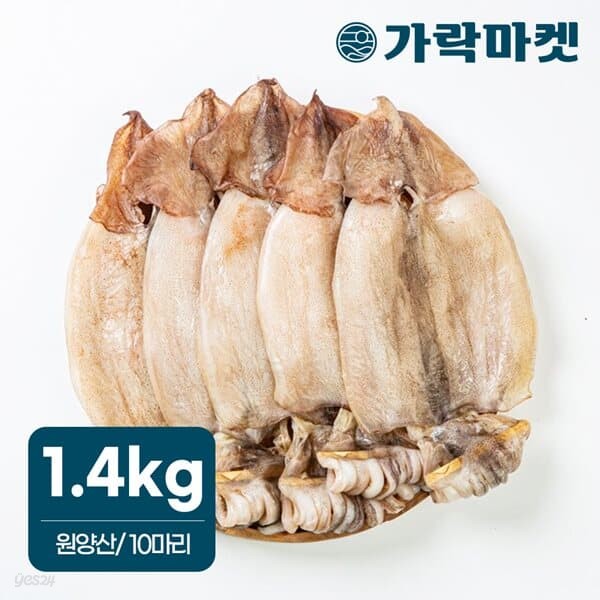 [청정바다]원양산 반건조 오징어 1.4kg 내외 피데기