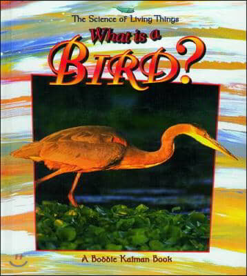 What Is a Bird?