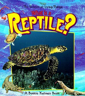 What Is a Reptile?