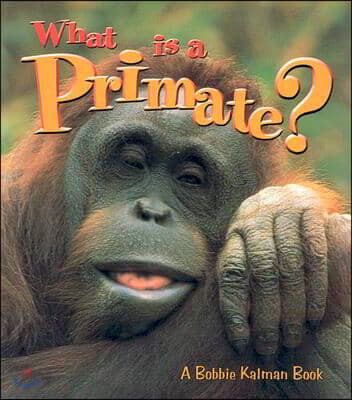 What Is A Primate