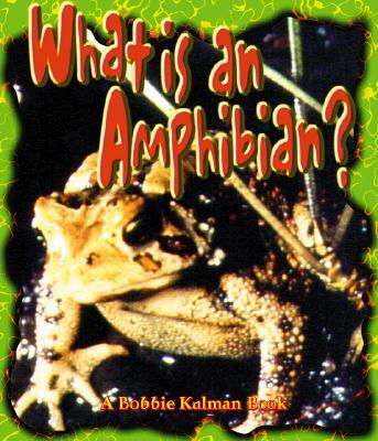What Is an Amphibian?