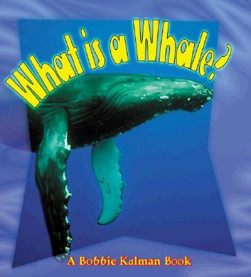 What Is a Whale?