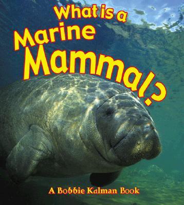 What Is a Marine Mammal?