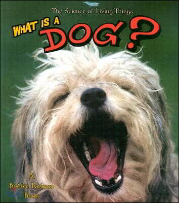 What Is a Dog