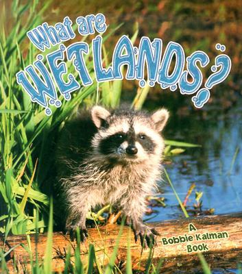 What Are Wetlands