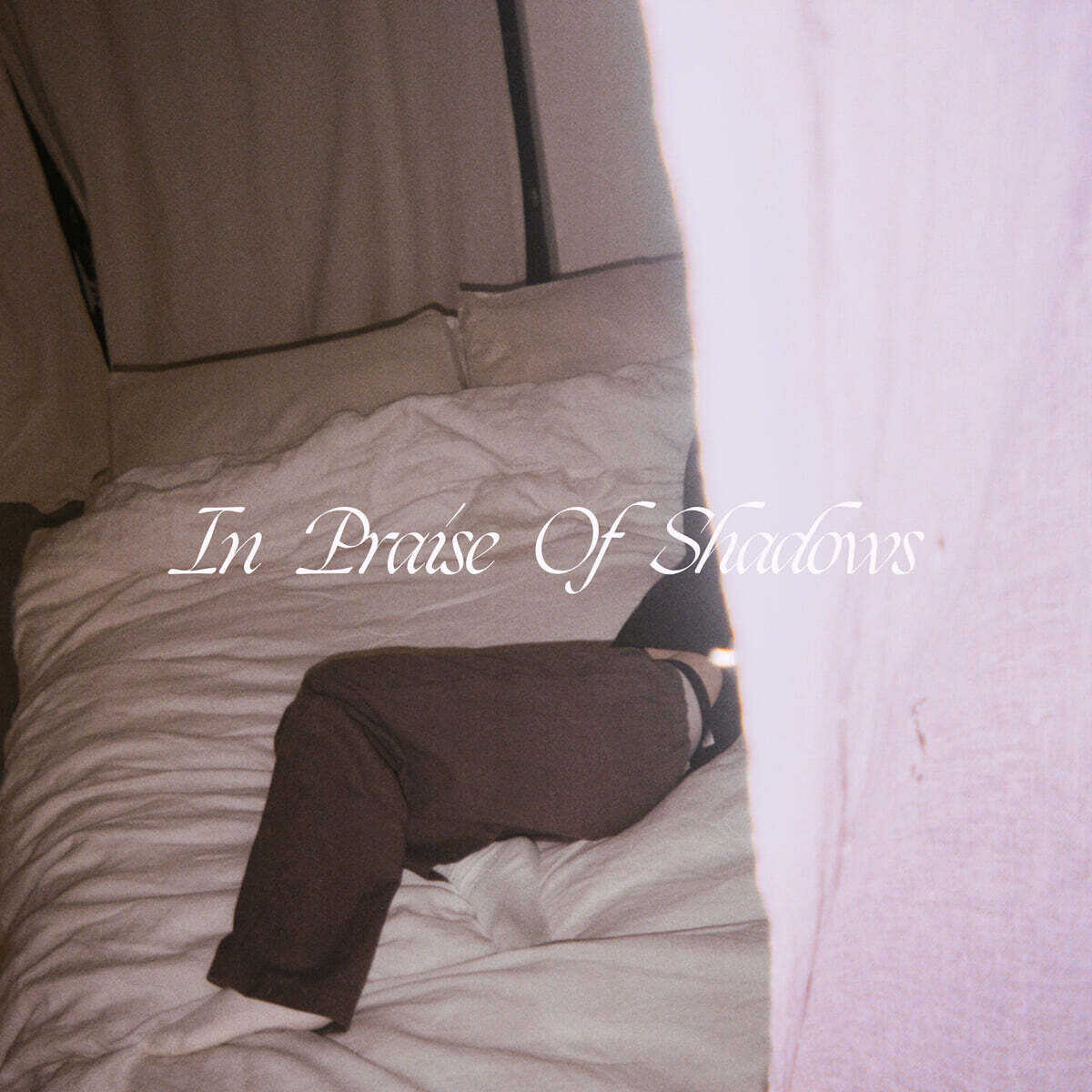 Puma Blue (푸마 블루) - In Praise Of Shadows [밀키 투명 컬러 2LP]