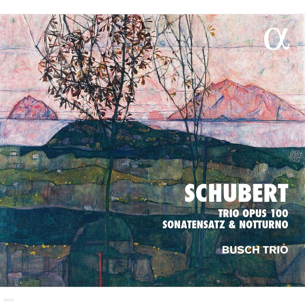 Busch Trio 슈베르트: 피아노 트리오 - 부슈 트리오 (Schubert: Trio D929, D28 'Sonatensatz', D897 'Notturno')
