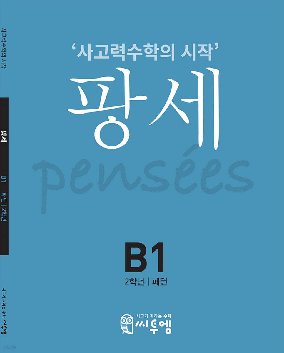 팡세 B-1 패턴