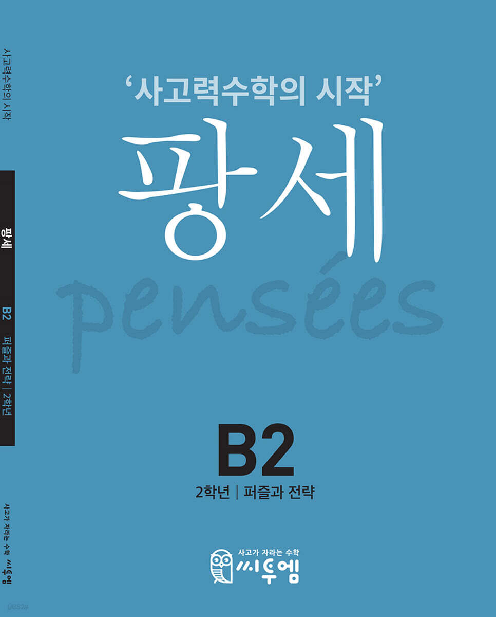 팡세 B-2 퍼즐과 전략