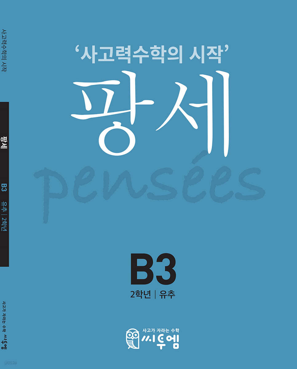팡세 B-3 유추