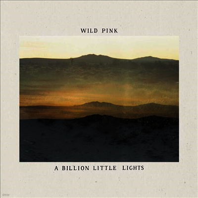 Wild Pink — A Billion Little Lights 앨범 커버