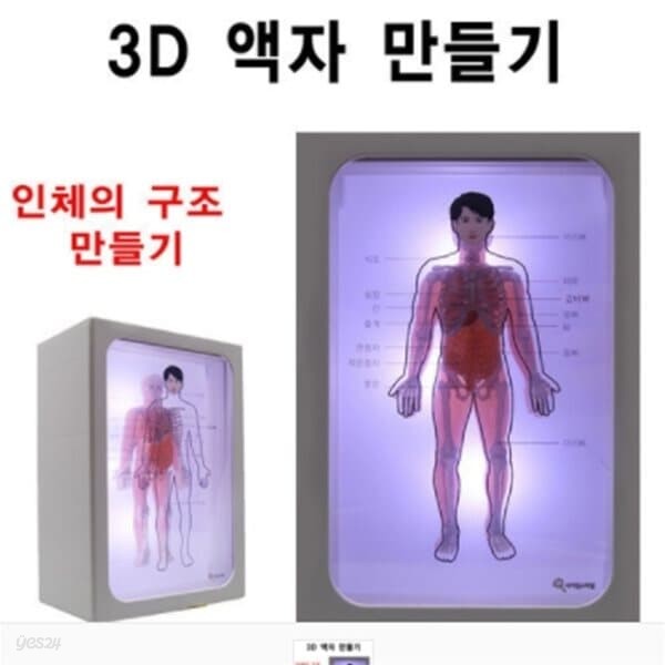 3D 액자 만들기 (인체 구조)