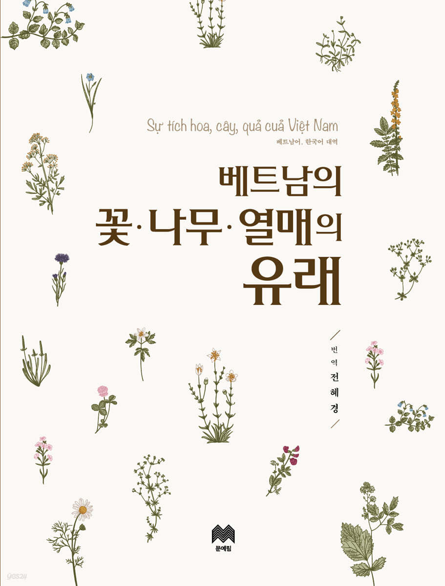 베트남의 꽃·나무·열매의 유래