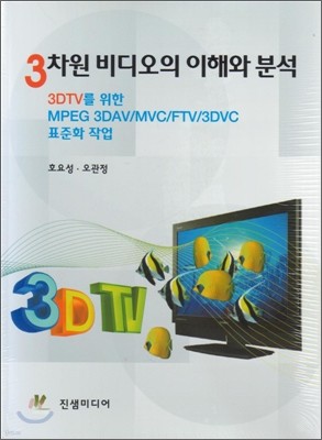 3차원 비디오의 이해와 분석