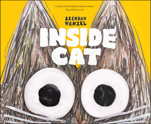 Inside Cat