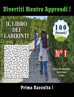 Il Libro Dei Labirinti: Manuale Con 100 Percorsi Diversi ! Sviluppa L'intelligenza, Apprendi e Divertiti Allo Stesso Tempo - Libro In Italiano