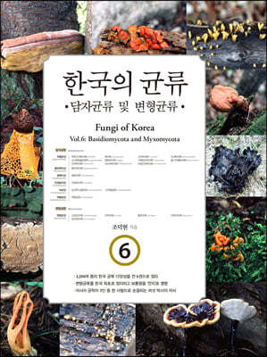 한국의 균류 6