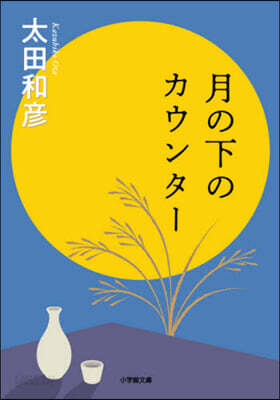 月の下のカウンタ-