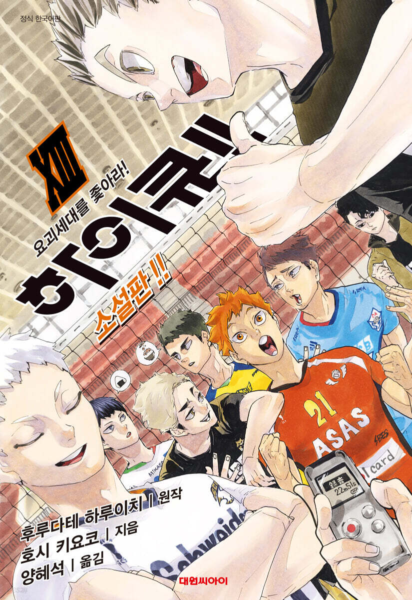 하이큐!! 소설판!! 13