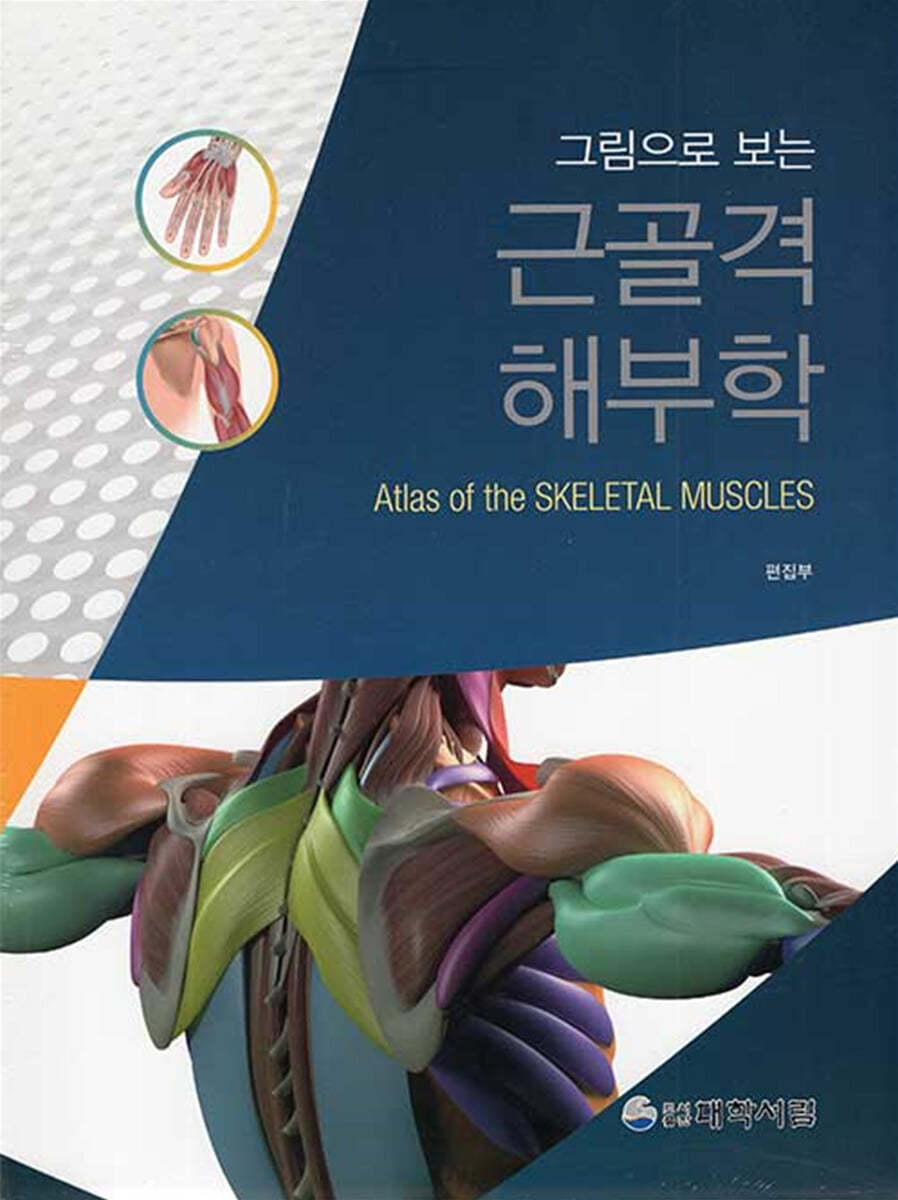 근골격해부학