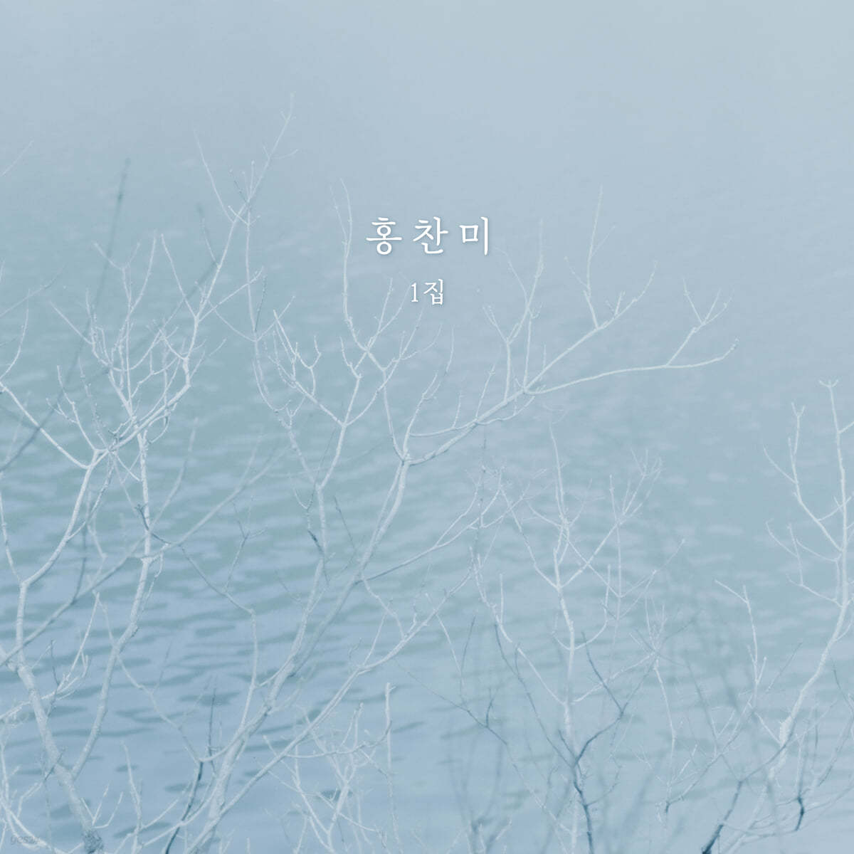 홍찬미 1집 - 바람